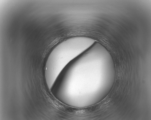 X0000058800309200510071709