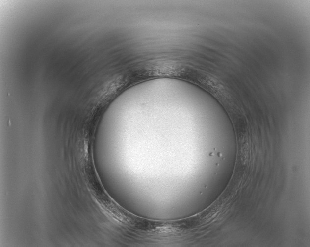 X0000058800310200510071709