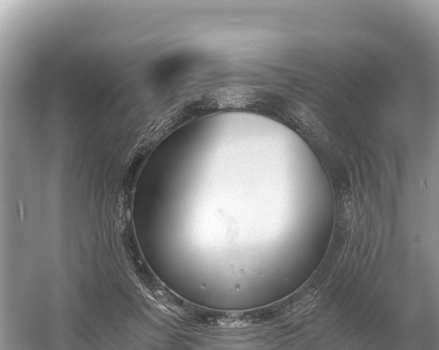 X0000058800311200510071709