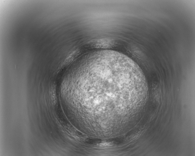 X0000058800312200510071709