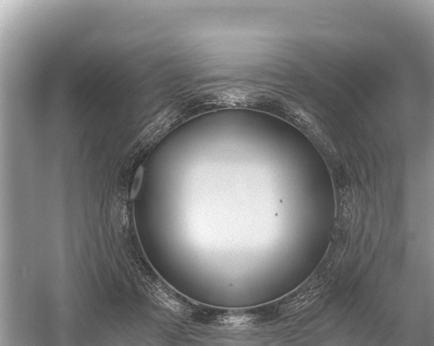 X0000058800313200510071709