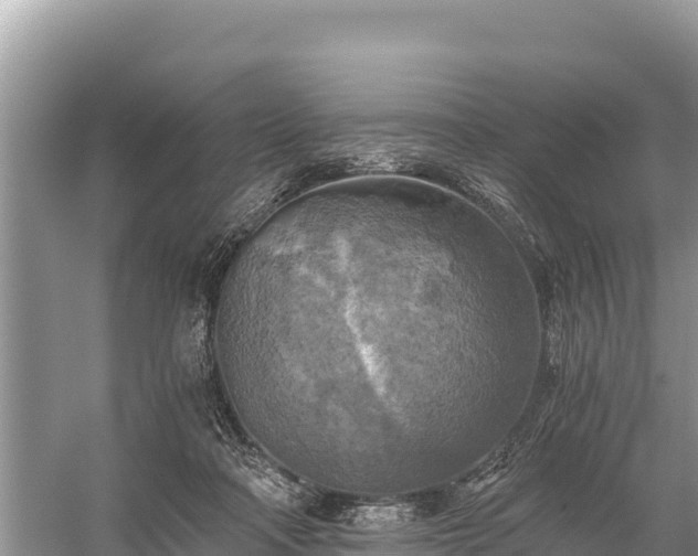 X0000058800314200510071709