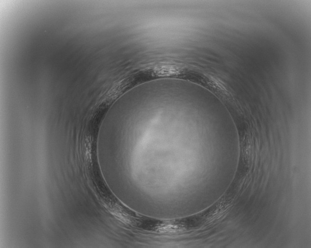 X0000058800315200510071709