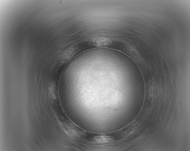 X0000058800316200510071709