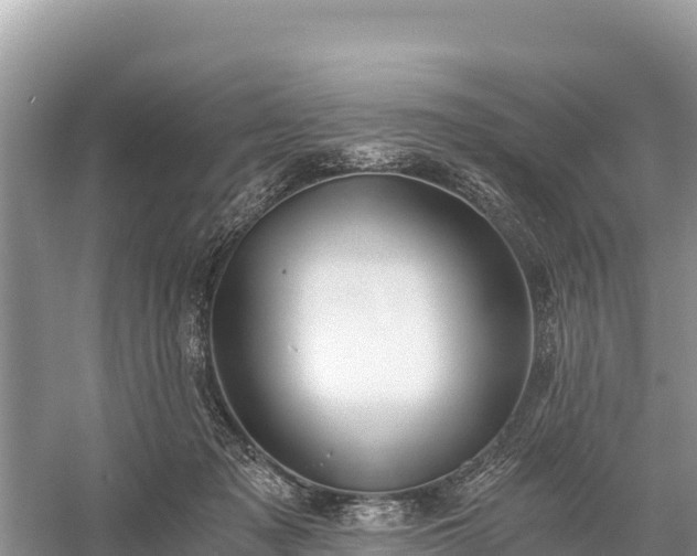 X0000058800317200510071709