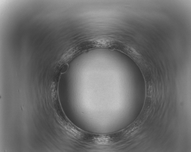 X0000058800318200510071709