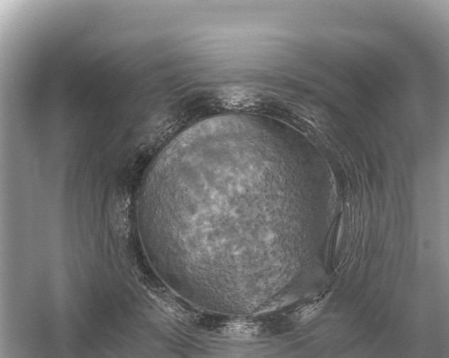 X0000058800319200510071709