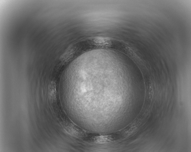 X0000058800320200510071708