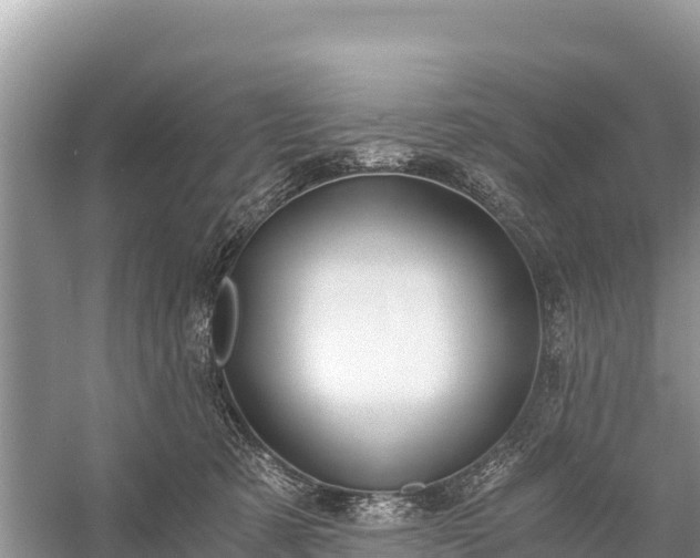 X0000058800321200510071708