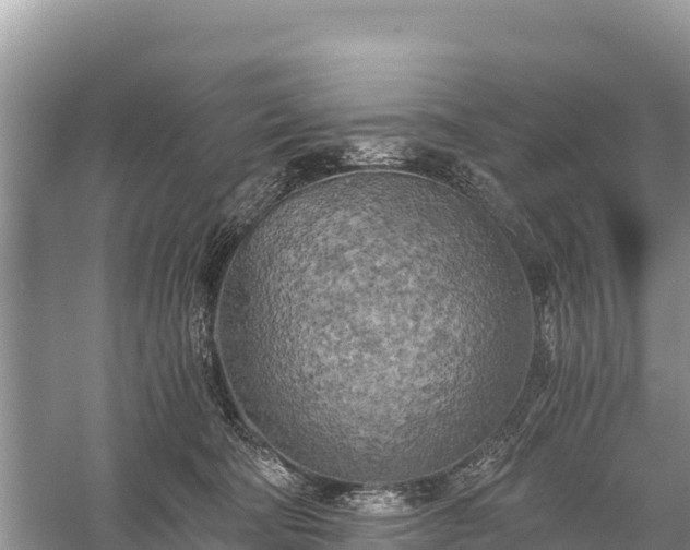 X0000058800322200510071708