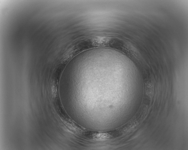 X0000058800324200510071708