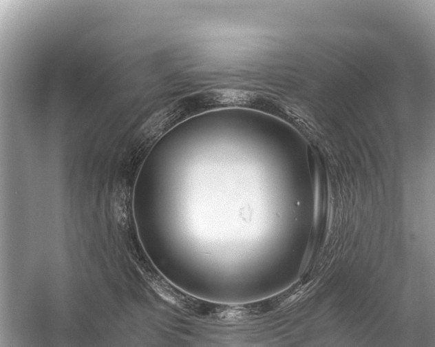 X0000058800325200510071708