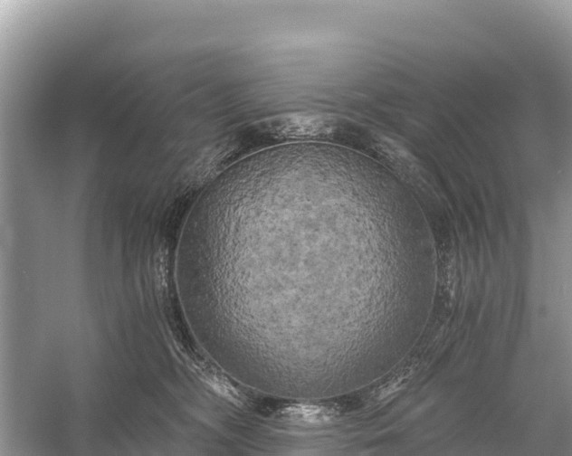 X0000058800326200510071708