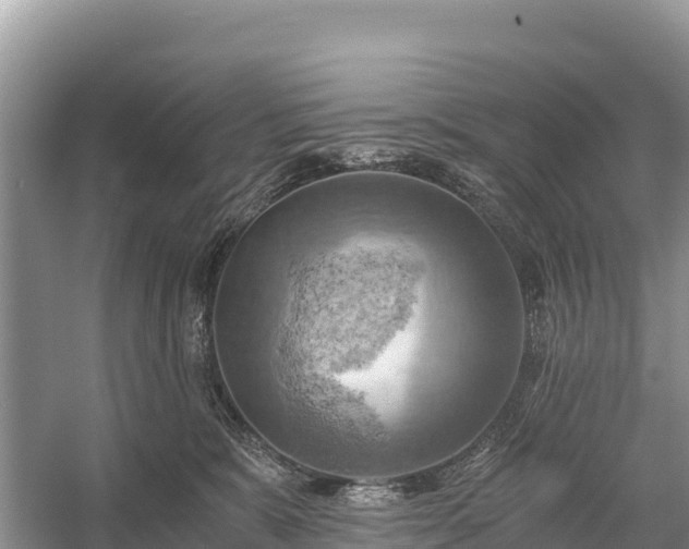 X0000058800327200510071708