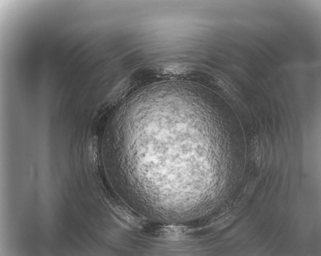 X0000058800328200510071708