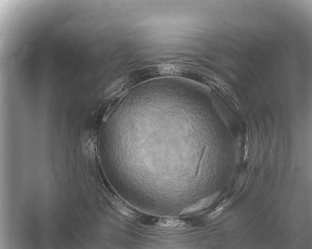 X0000058800329200510071708