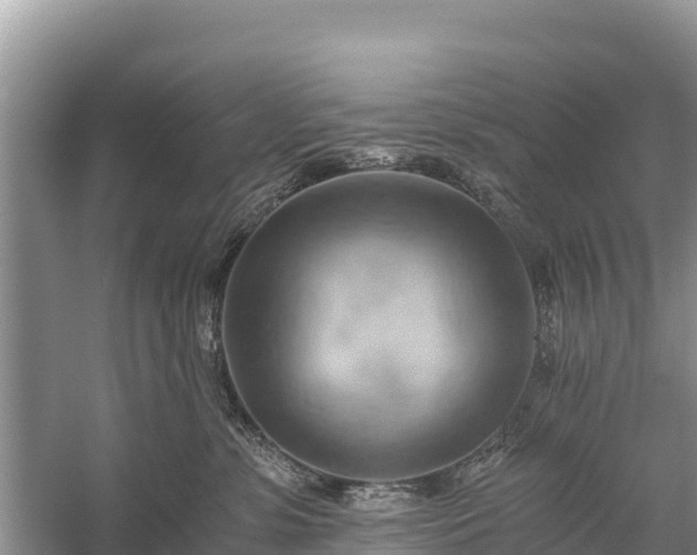 X0000058800331200510071708