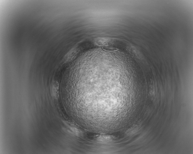 X0000058800332200510071708