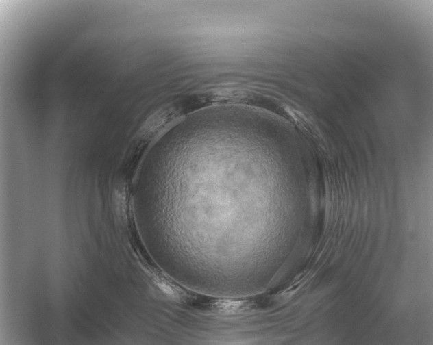 X0000058800333200510071708