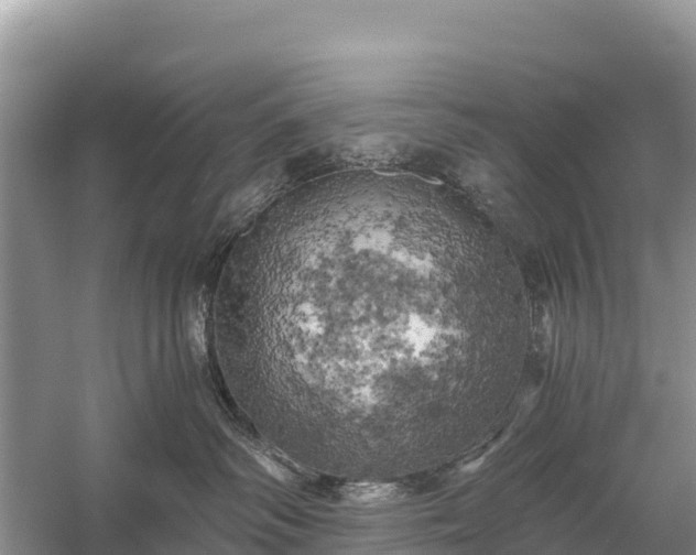 X0000058800334200510071708