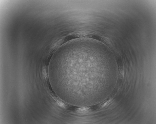 X0000058800335200510071708