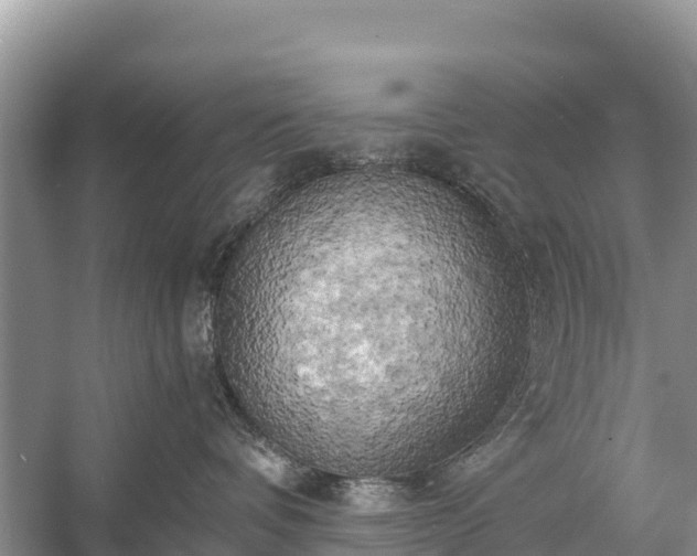 X0000058800336200510071708