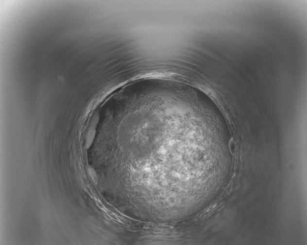 X0000058800337200510071707