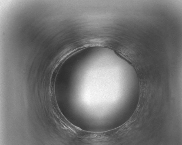 X0000058800338200510071707