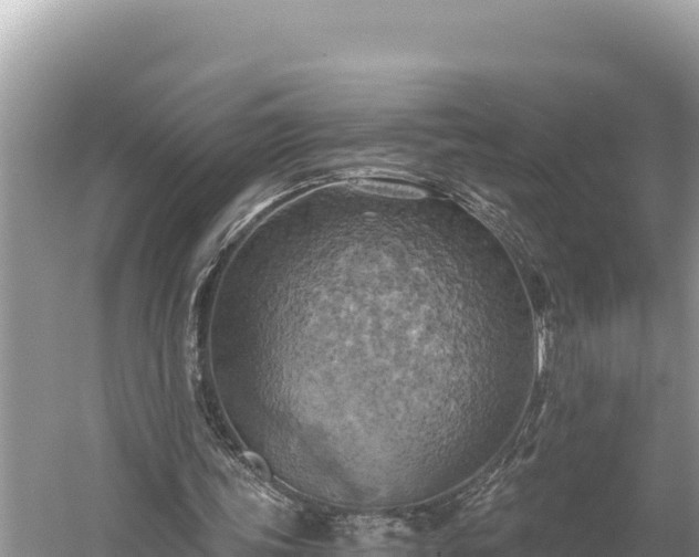 X0000058800339200510071707