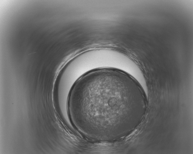 X0000058800340200510071707