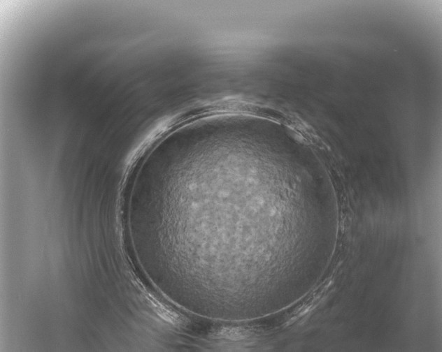 X0000058800341200510071707