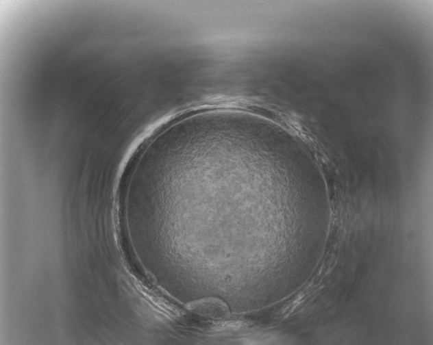 X0000058800342200510071707