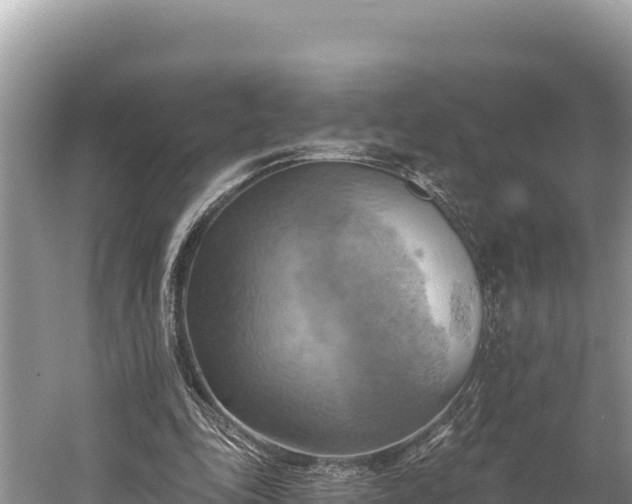 X0000058800343200510071708