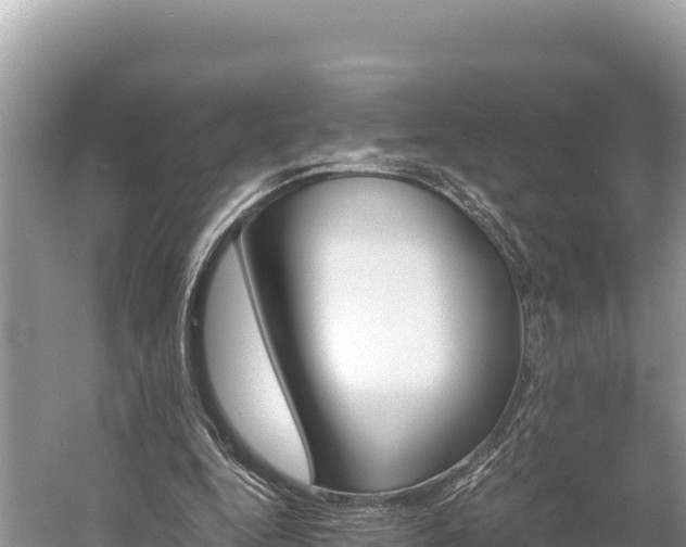 X0000058800344200510071708