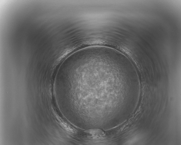 X0000058800345200510071708