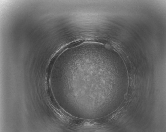 X0000058800346200510071708