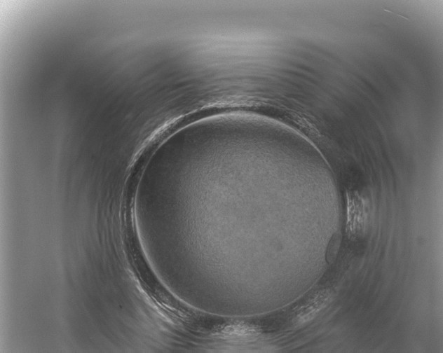 X0000058800348200510071708