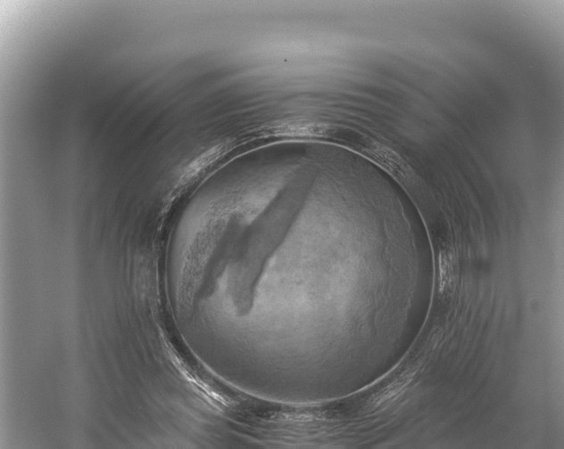 X0000058800349200510071708