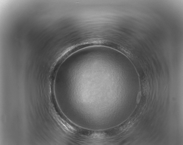 X0000058800350200510071708