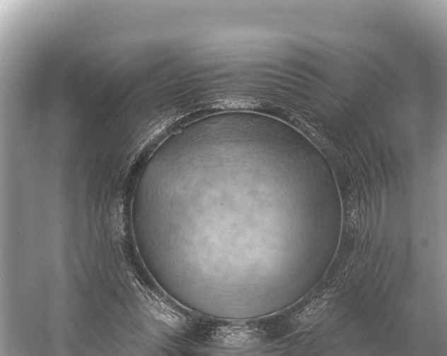 X0000058800351200510071708