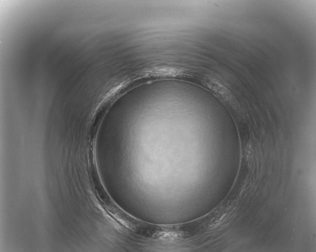 X0000058800352200510071708