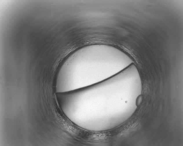 X0000058800353200510071708