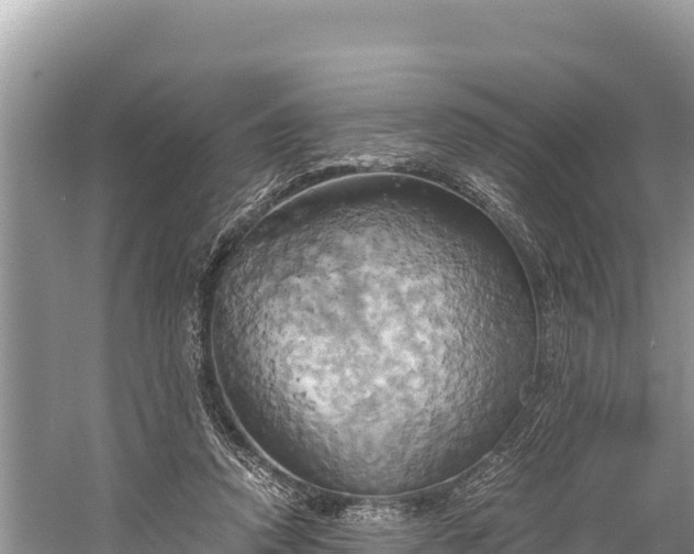 X0000058800354200510071708