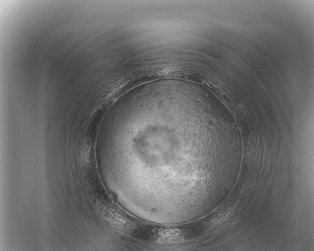 X0000058800355200510071708