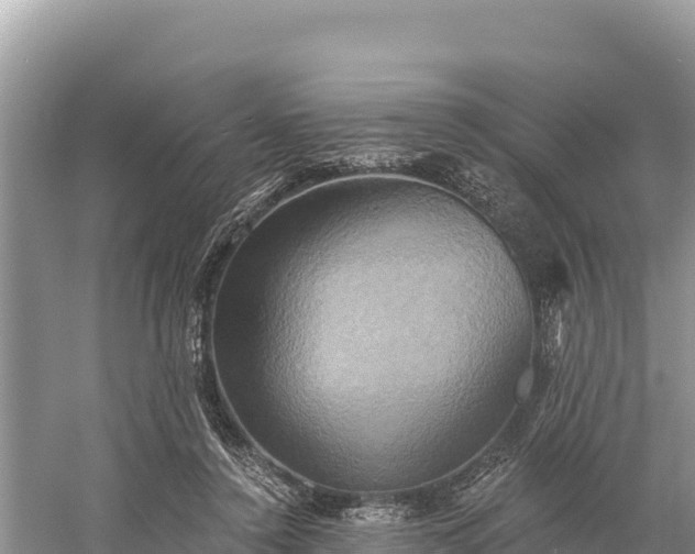 X0000058800356200510071708