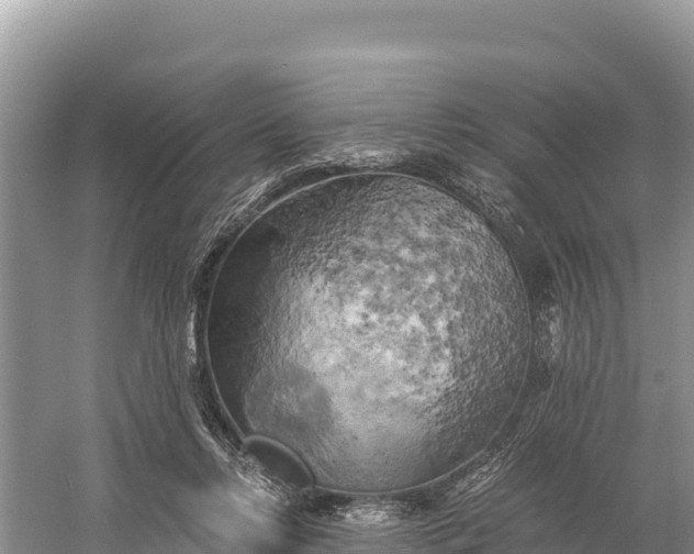 X0000058800358200510071708