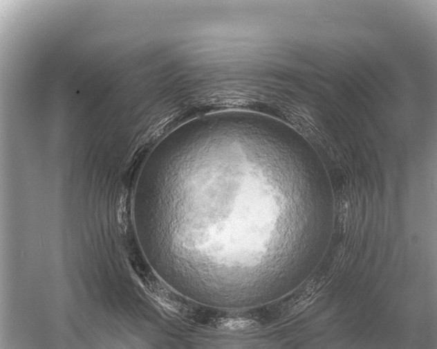 X0000058800360200510071708