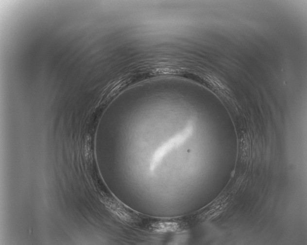 X0000058800361200510071708