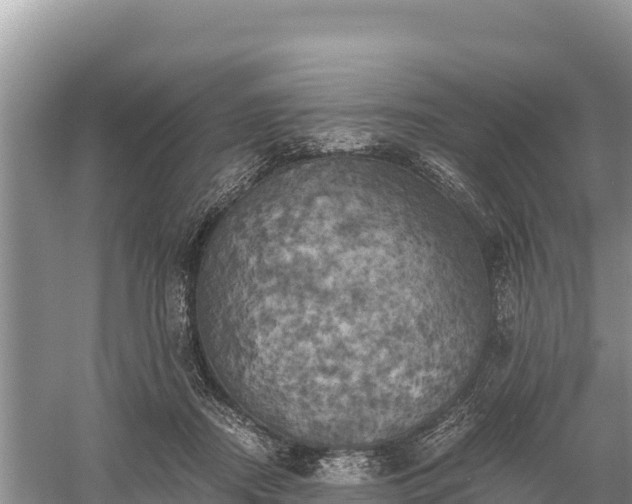 X0000058800362200510071708