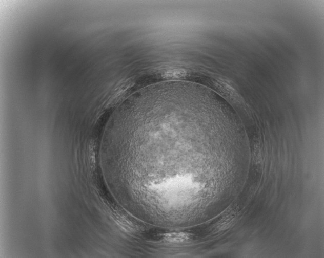 X0000058800363200510071708